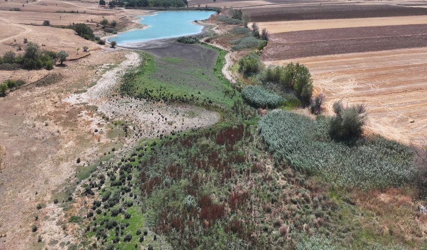Edirne'deki Korucuköy Göleti'nde su seviyesi düştü