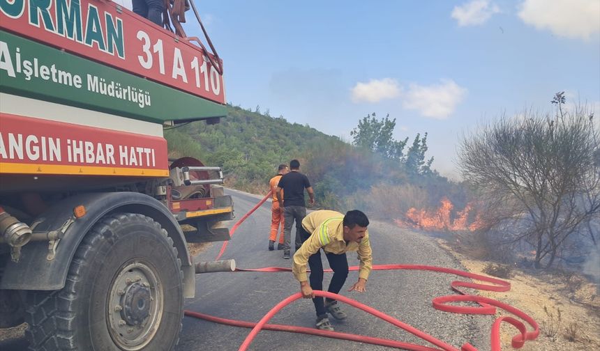 Yayladağı'nda çıkan orman yangını kontrol altına alındı