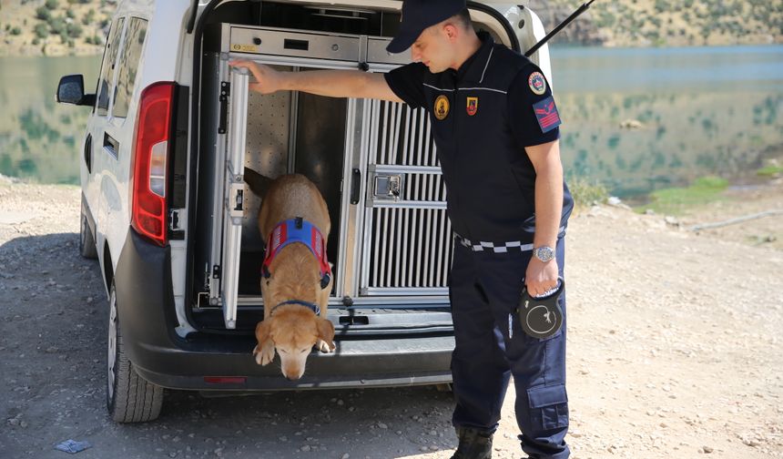 Kadavra arama köpeği 'Pusat' jandarmanın en büyük yardımcısı