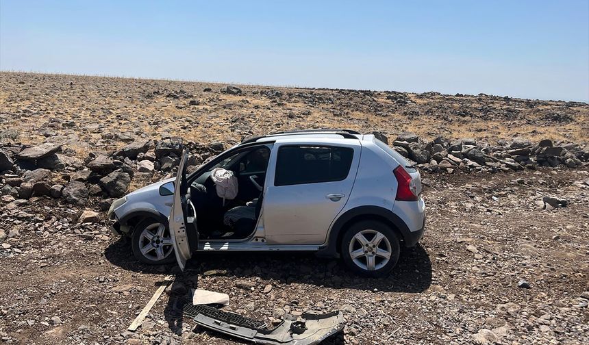 Şanlıurfa'da devrilen otomobildeki 2 kişi yaralandı