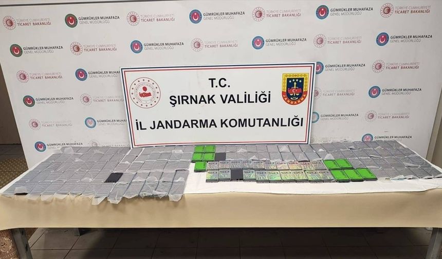 Şırnak’ta 34 kişiye kaçakçılık ve asayiş işlemi yapıldı
