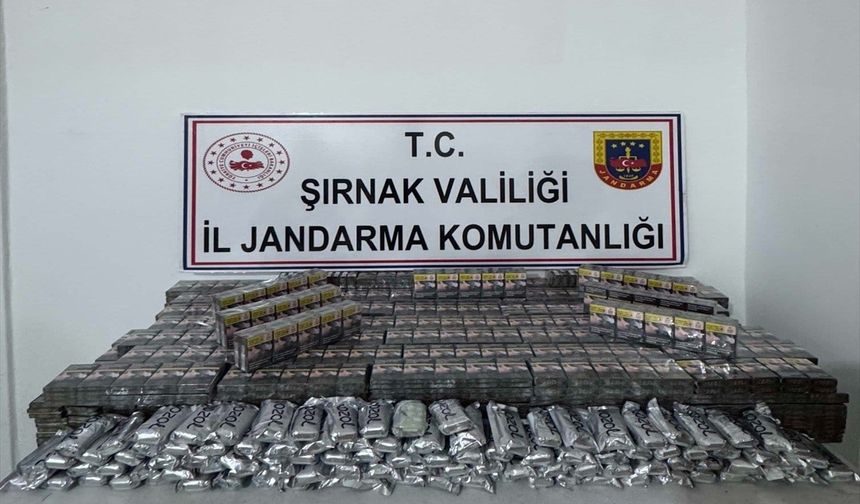 Şırnak’ta operasyonlarda 36 kişi hakkında işlem yapıldı