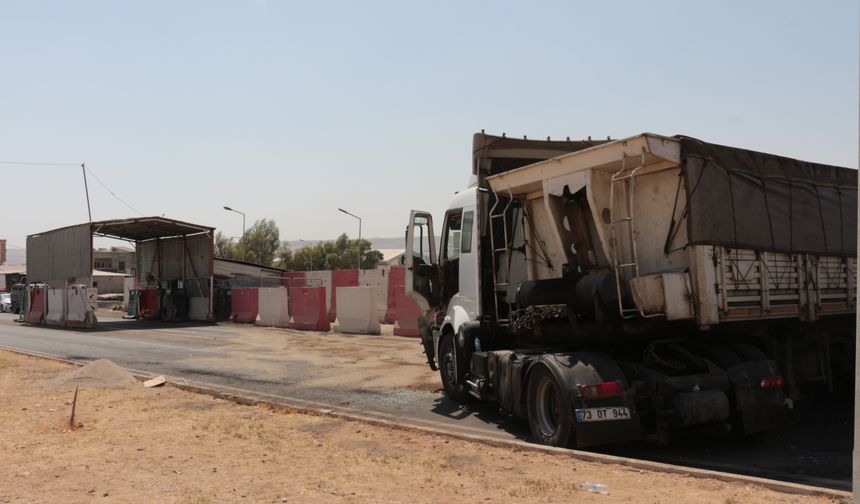 Şırnak’ta iki tır çarpıştı: Ağabey öldü, kardeş yaralandı