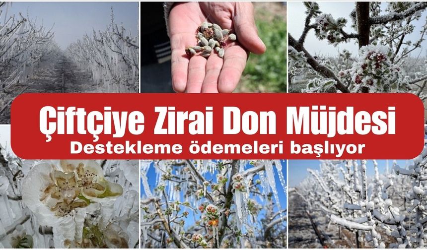 Don Mağduru Çiftçilere Destek Ödemesi Yapılacak