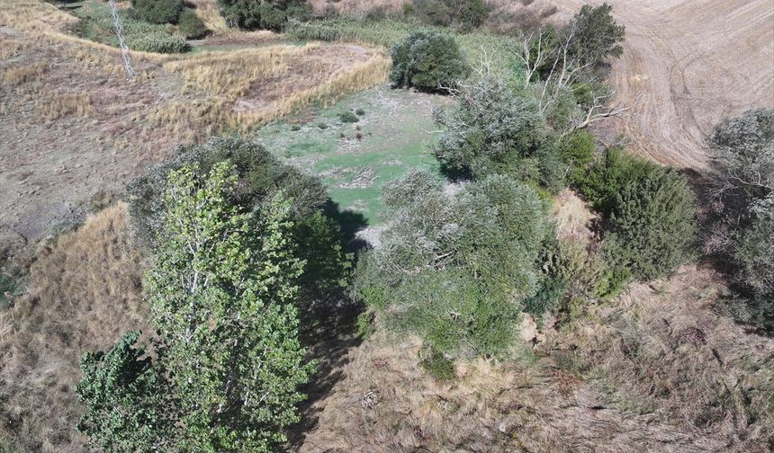 Edirne'deki Musabeyli Göleti kuraklık nedeniyle kurudu