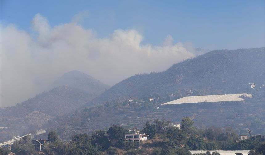 Alanya’da Orman Yangınına Müdahale