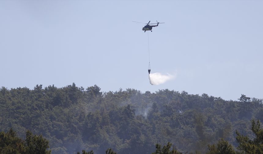 Milas'ta çıkan orman yangınına müdahale ediliyor