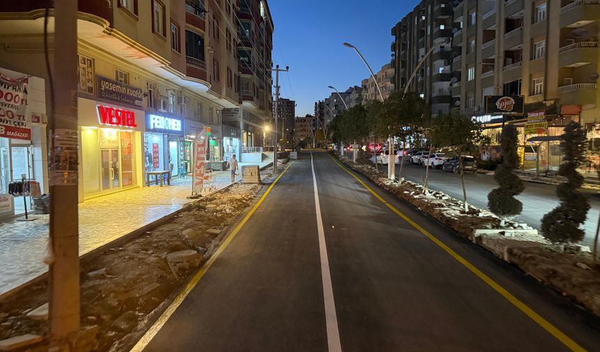 Mardin'de asfalt ve yol düzenleme çalışması