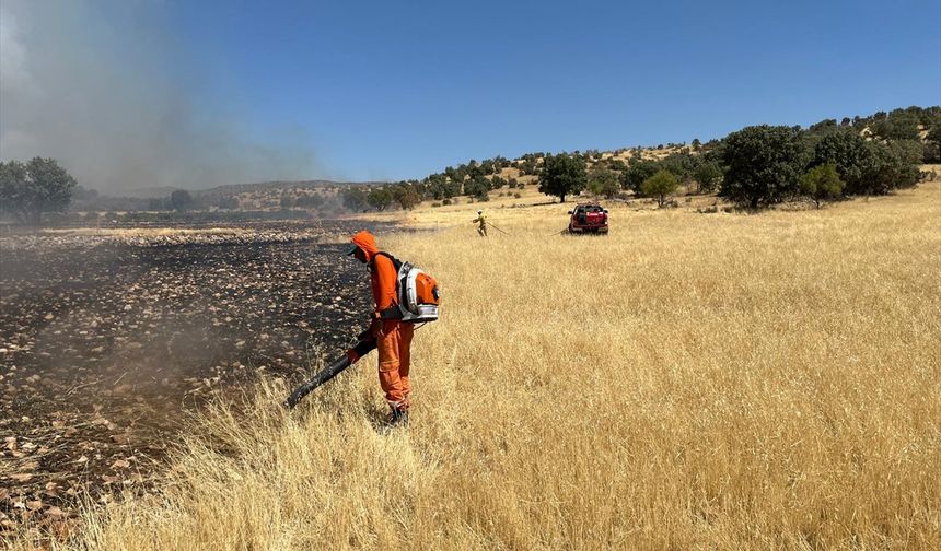 Mardin'de ormanlık alanda çıkan yangına müdahale ediliyor