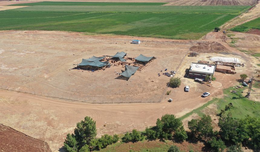 Sefertepe kazılarında 12 insan kafatası bulundu
