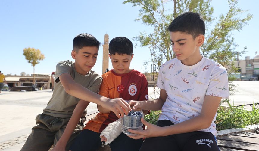 Togg’un yeni rengi Mardin mavi badem şekerinden ilham aldı