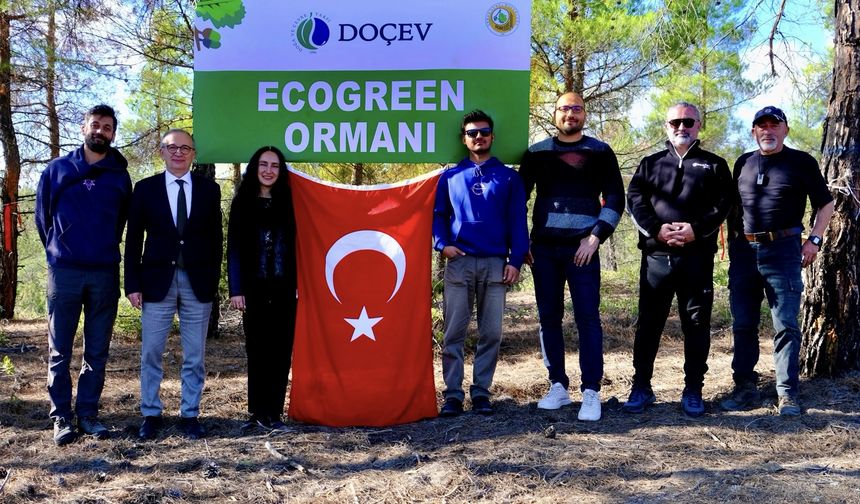 Ecogreen Enerji, Denizli’de 2 bin fidanlık orman oluşturdu