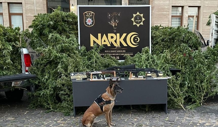 Kilis'te uyuşturucu operasyonunda 1 zanlı tutuklandı