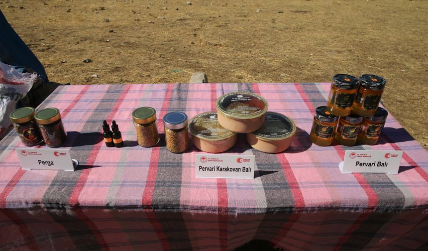 Çemikari Yaylası'nda kara kovan balının hasadı yapıldı