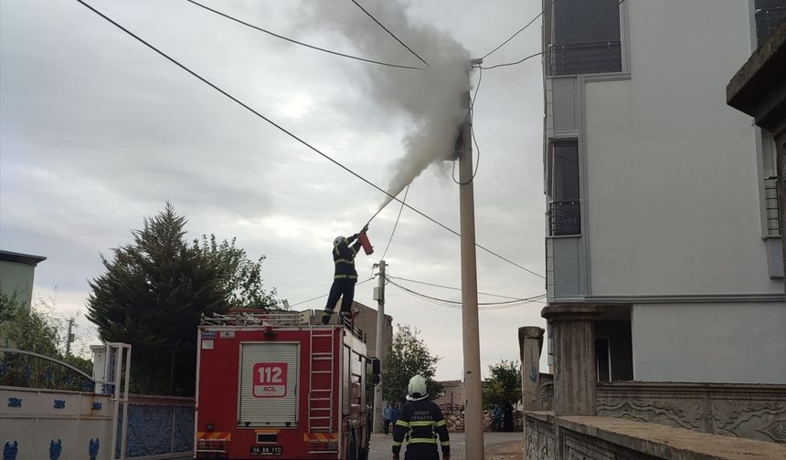 Siirt'te elektrik direğinde çıkan yangın söndürüldü