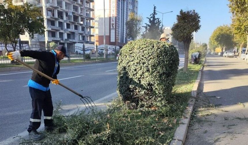 Adıyaman Belediyesi Park ve Bahçelerde Kış Bakımına Başladı