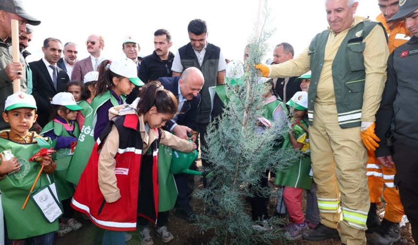 Adıyaman ve Çevre İllerde Fidanlar Dikildi