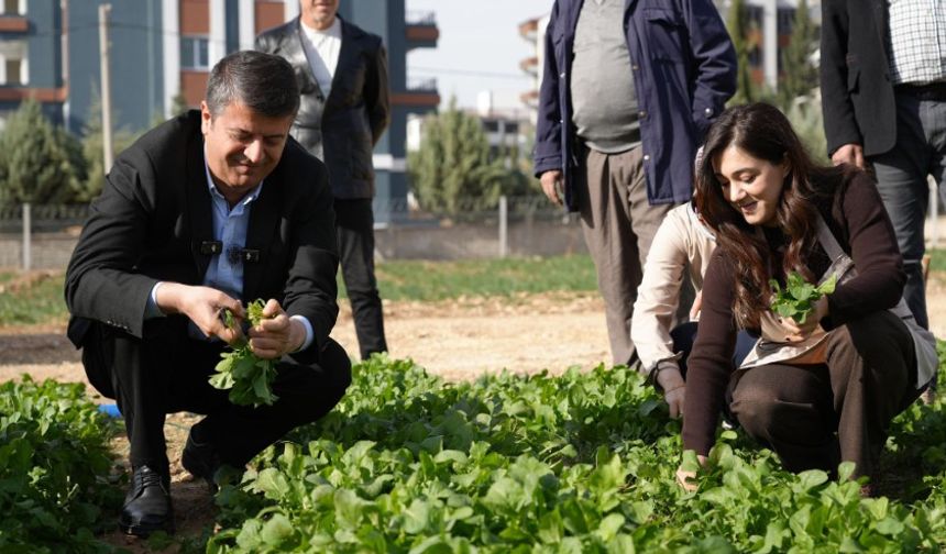 Adıyaman’da Kadın Emeğiyle Üretilen Sebzeler Tezgâha Çıktı