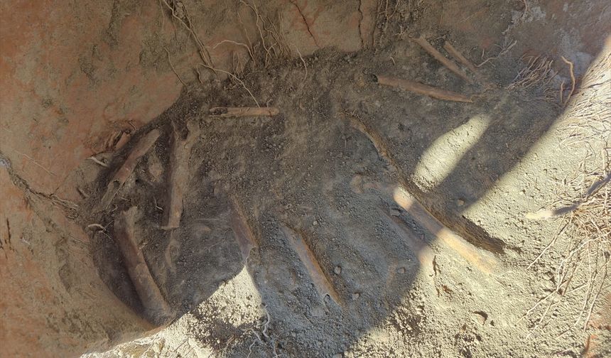 Denizli'de insana ait kemik parçaları bulundu