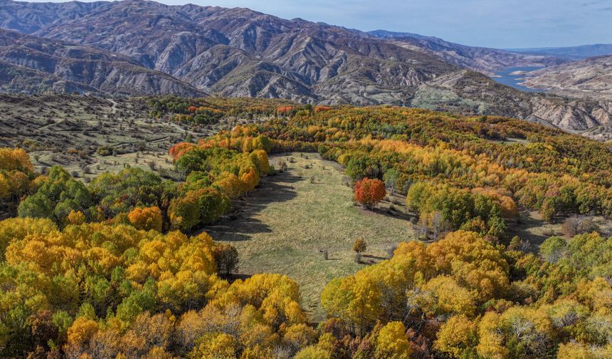 Sonbahar renkleri dronla görüntülendi