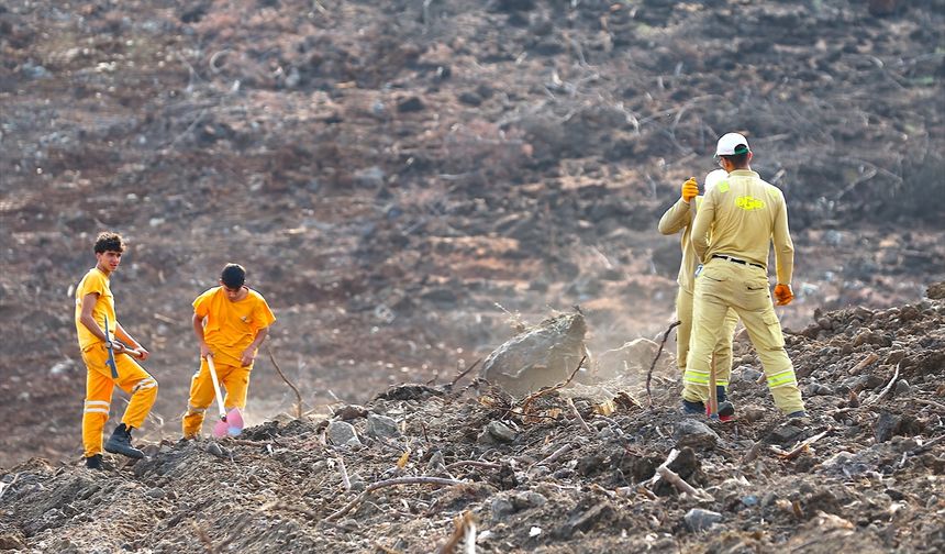 Hatay ve Kilis'te  44 bin 50 fidan dikilecek