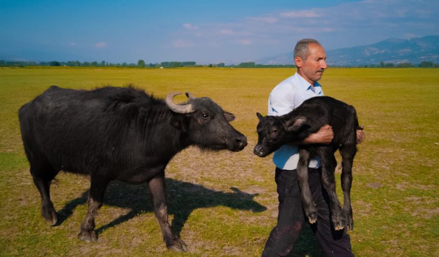 Türk fotoğrafçı Huawei XMAGE'de dünya ikincisi oldu