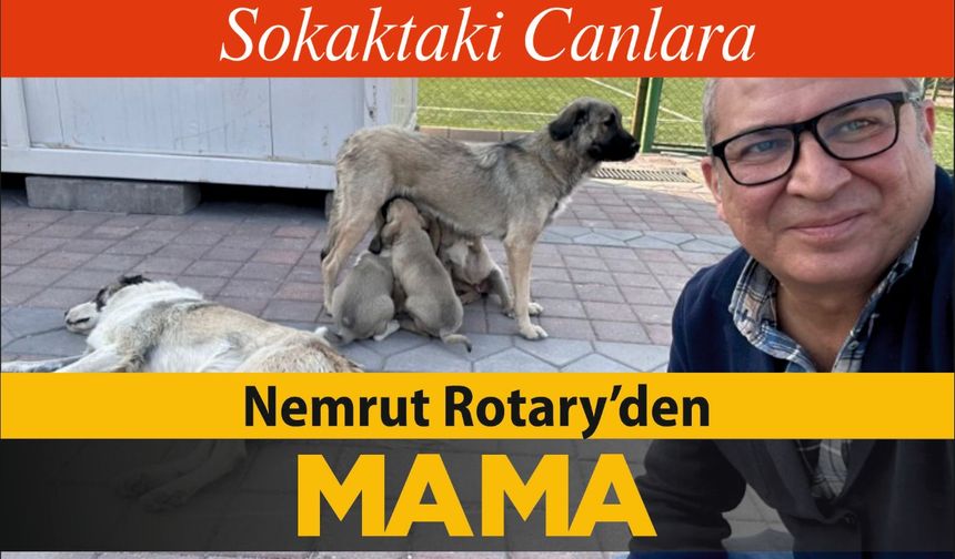 Nemrut Rotary’den “Sokaktaki Canlara” Mama