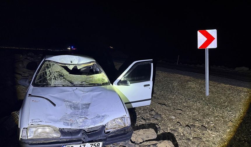 Eşeğe çarpan otomobilin sürücüsü yaralandı