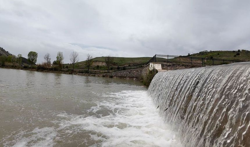 Adıyaman'da akıntıya karşı yüzen balıklar dikkat çekti