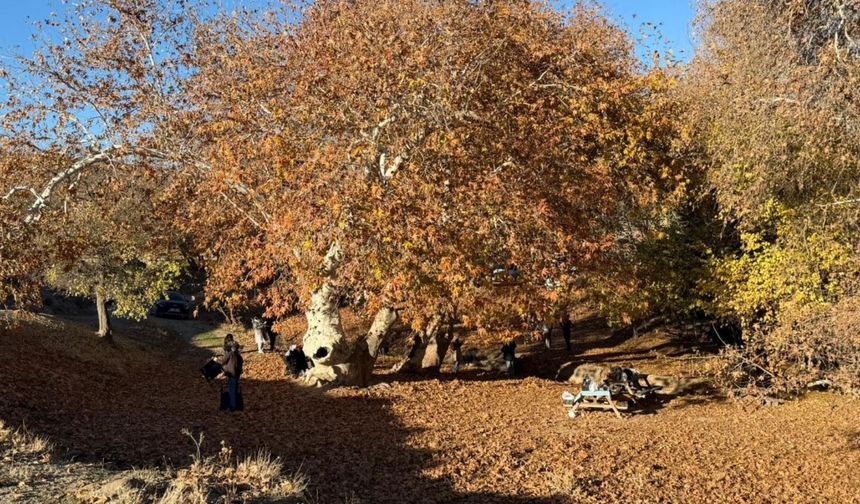 Adıyaman Zeynel Abidin Türbesi kış günlerinde ziyaretçi akınına uğradı