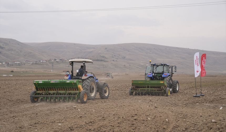 Çankırı’da Kuraklığa Dayanıklı Tohum Seferberliği