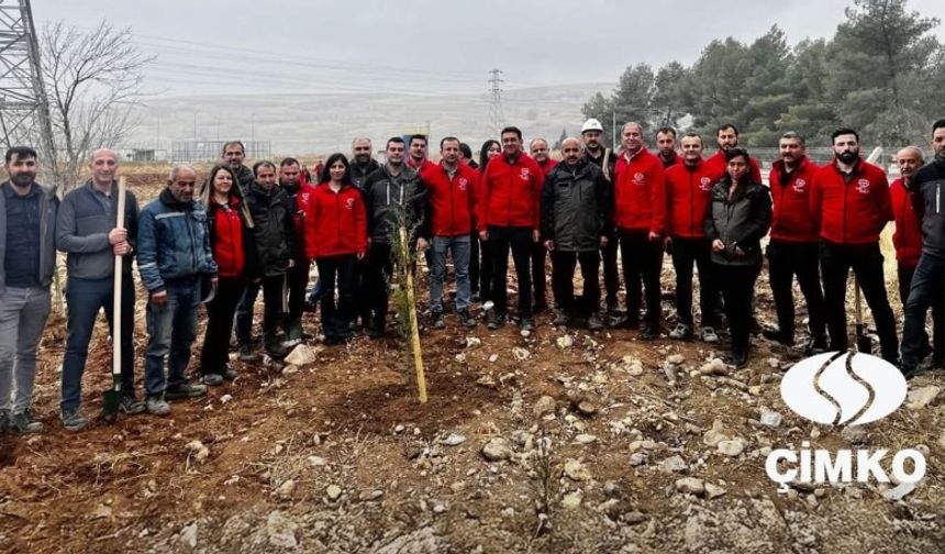 ÇİMKO’nun Fabrika Bahçesine Fidan Dikildi