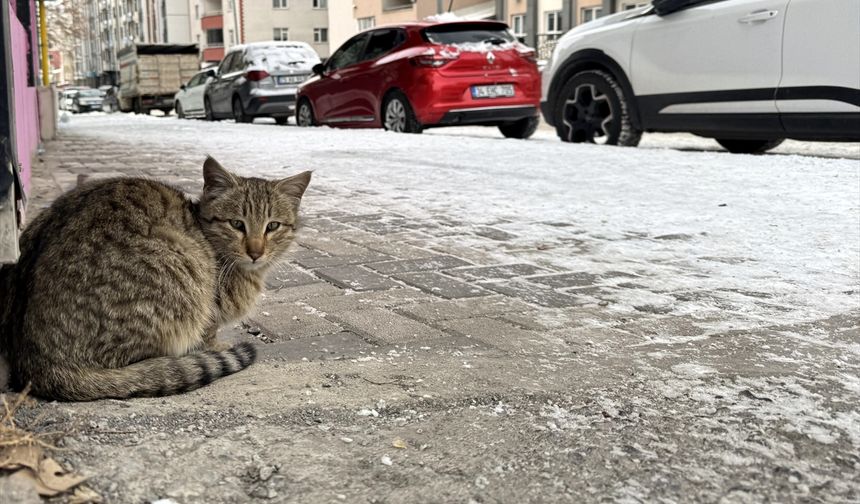 Doğu Anadolu'da 5 ilde soğuk hava etkili oluyor