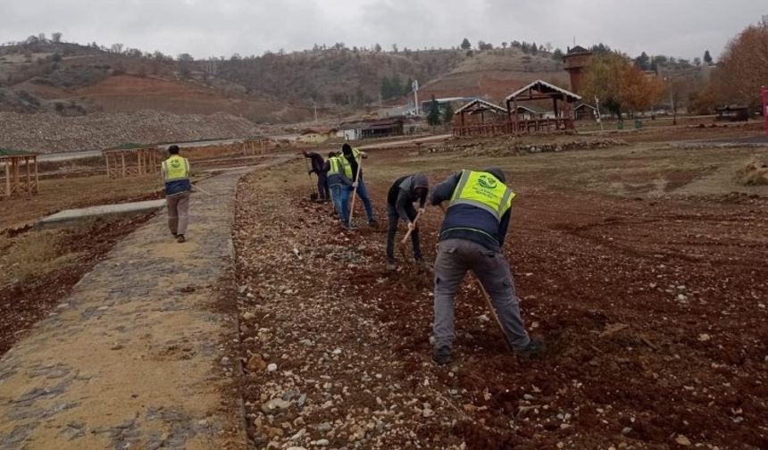 Gölbaşı Doğa Park’ına Fidan Dikildi