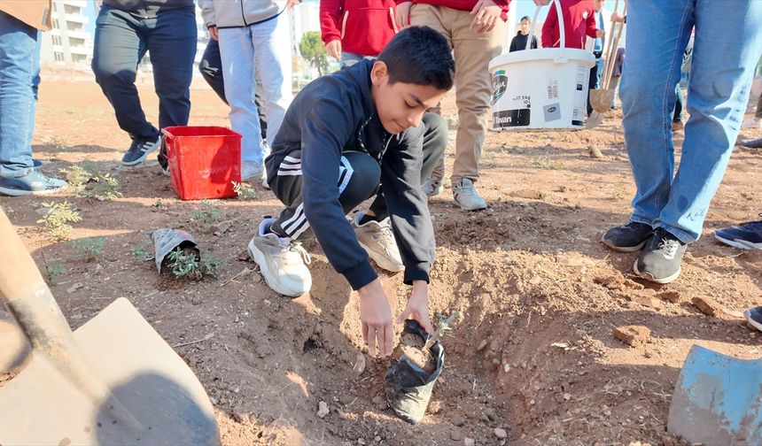 Şanlıurfa'da 'Yeşeren Okullar' projesi uygulanıyor