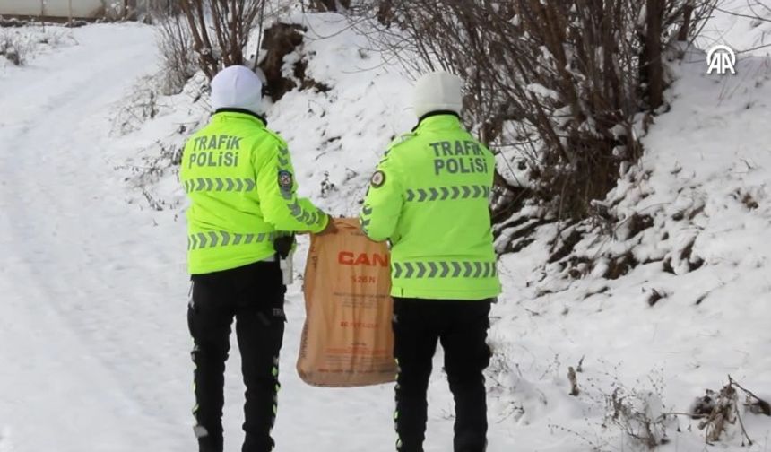 Sivas'ta trafik polisleri yaban hayvanlarını unutmadı