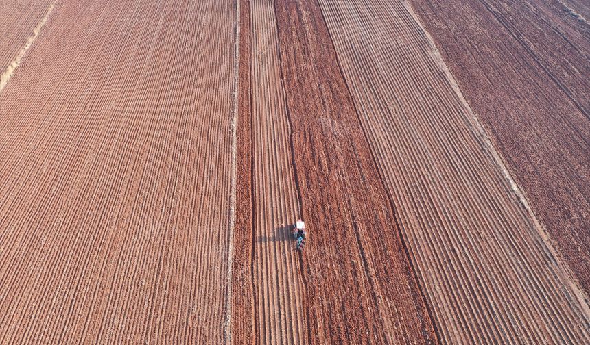 Toprak ve su kaybı, geleceği doğrudan tehdit ediyor