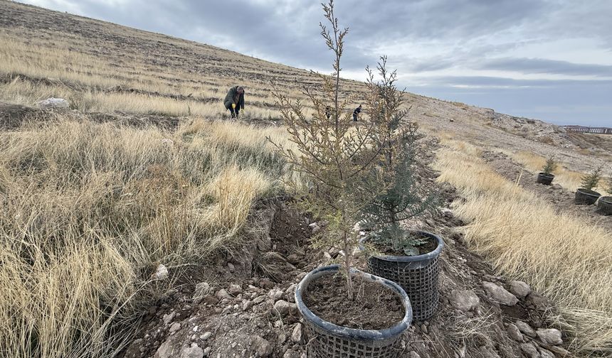 Türkiye'nin en kirli havası Iğdır'da...