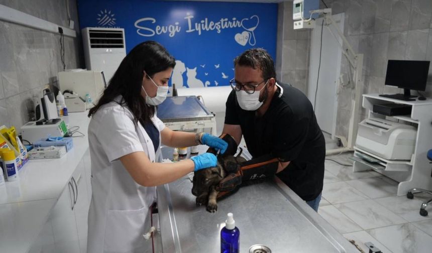 Adıyaman Belediyesi 2025’te Patibulansla Sahadaydı