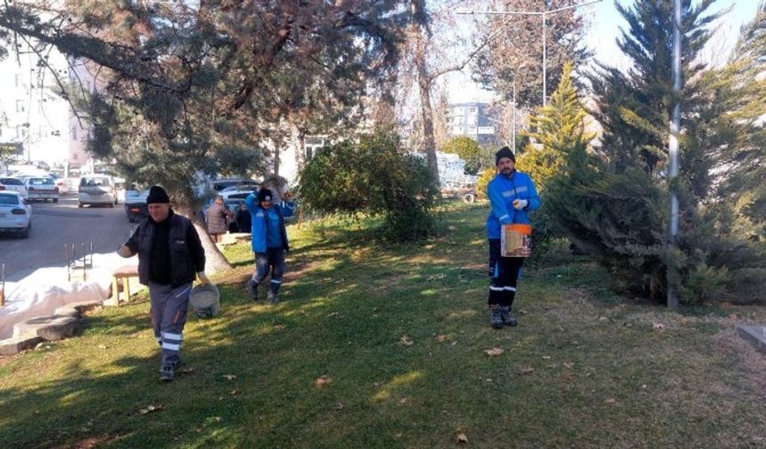 Adıyaman park ve refüjlerinde gübreleme ve çimleme çalışması