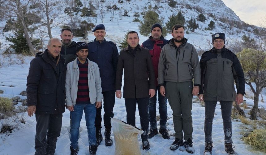 Gölbaşı'nda yaban hayvanları için doğaya yem bırakıldı