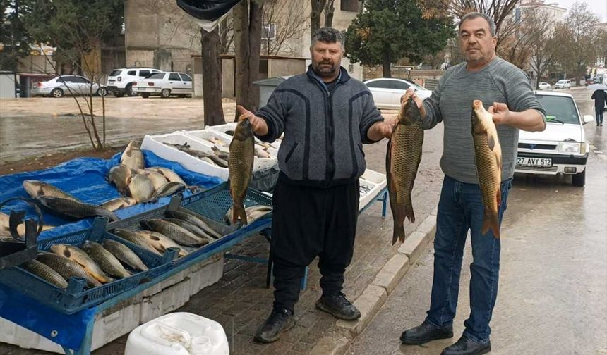 Araban'da soğuk havayla birlikte Fırat balığına talep arttı