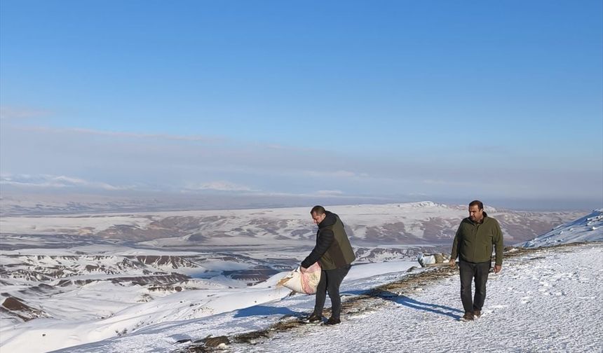 Batman'da yaban hayvanları için doğaya yiyecek bırakıldı