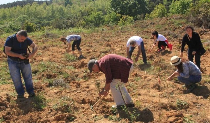 ÇEKÜL, 2025’te 116 Bin Fidan Dikti!