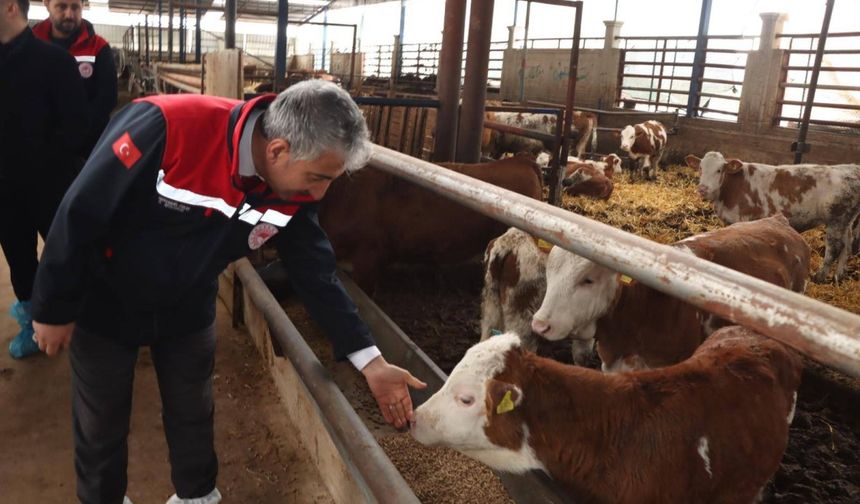 Daire Başkanı Melikşah hastalıktan ari işletme incelemesi