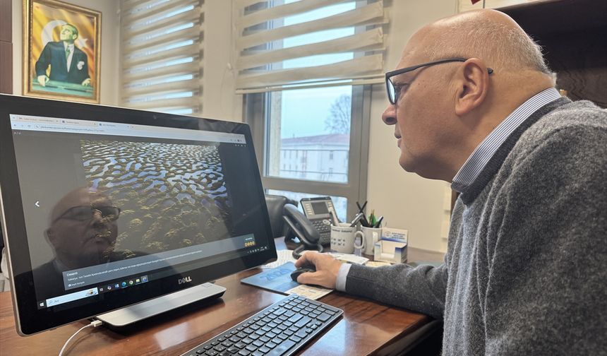 Deniz bilimciler, AA'nın 'Yılın Kareleri' oylamasına katıldı