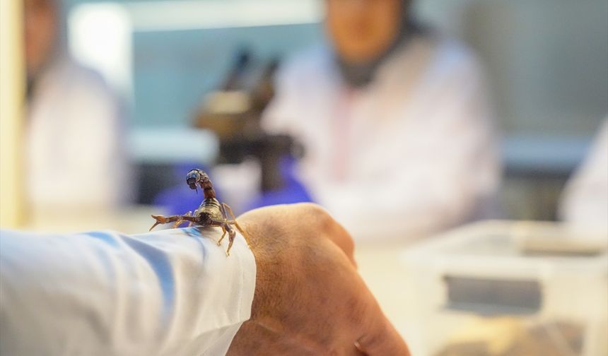 Dicle Üniversitesine akrep hibe edildi