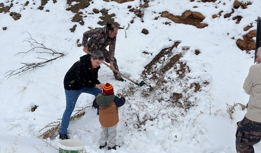 Erzincan'da yabani hayvanlar için arazilere yem bırakıldı