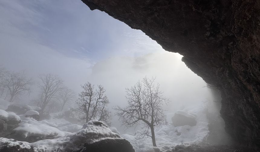 Hakkari'de soğuk hava ve sis etkili oldu