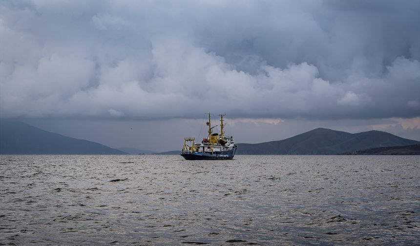 Marmara'nın deniz çayırları haritalandırılıyor